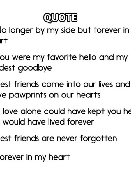 Dog Memory Frame Gifts