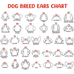 Dog Memorial Frame with Collar Holder