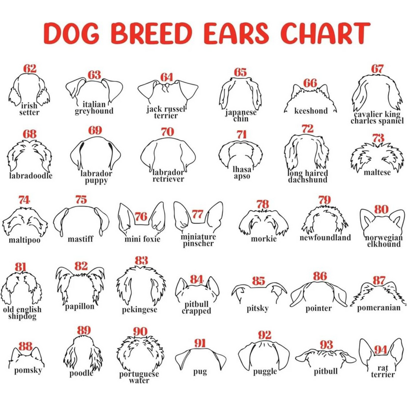 Dog Memorial Frame with Collar Holder